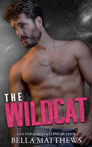 The Wildcat (Playing to Win #2)