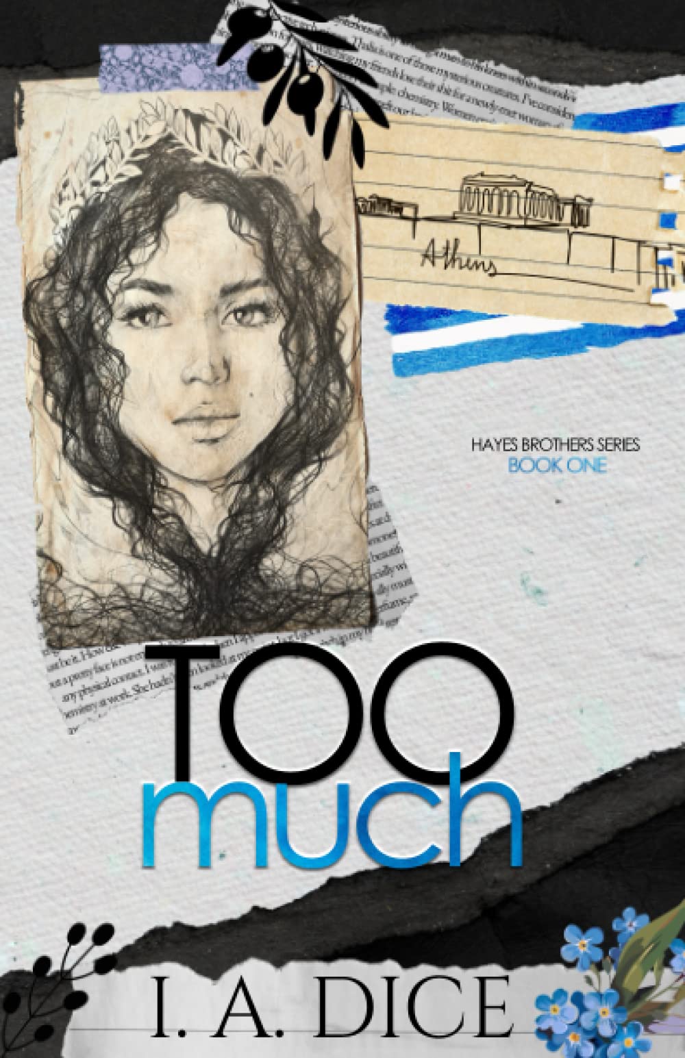 Too Much (Hayes Brothers #1)