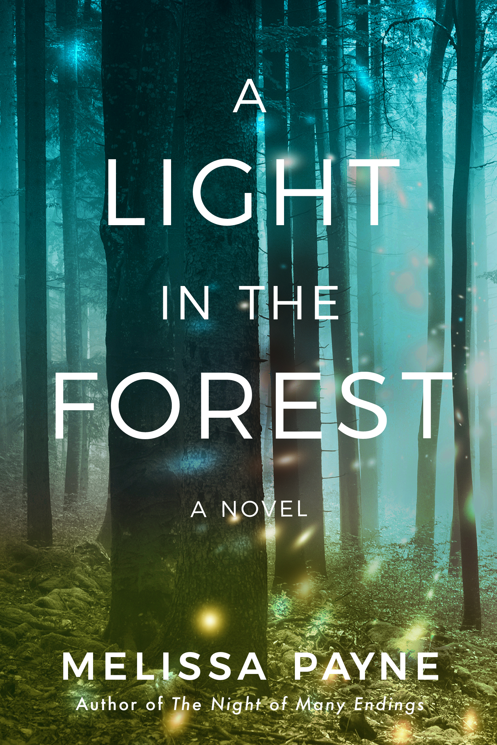 A Light In The Forest