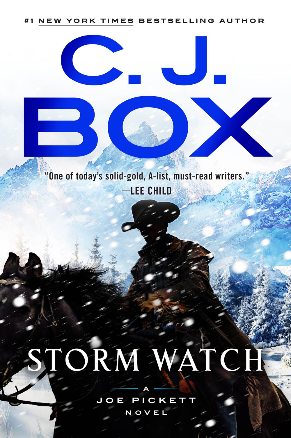 Storm Watch (Joe Pickett #23)
