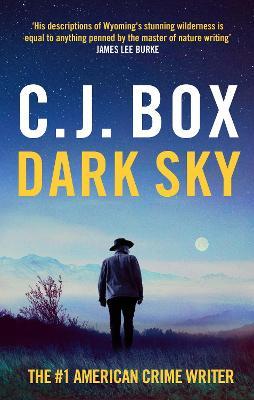 Dark Sky (Joe Pickett #21)