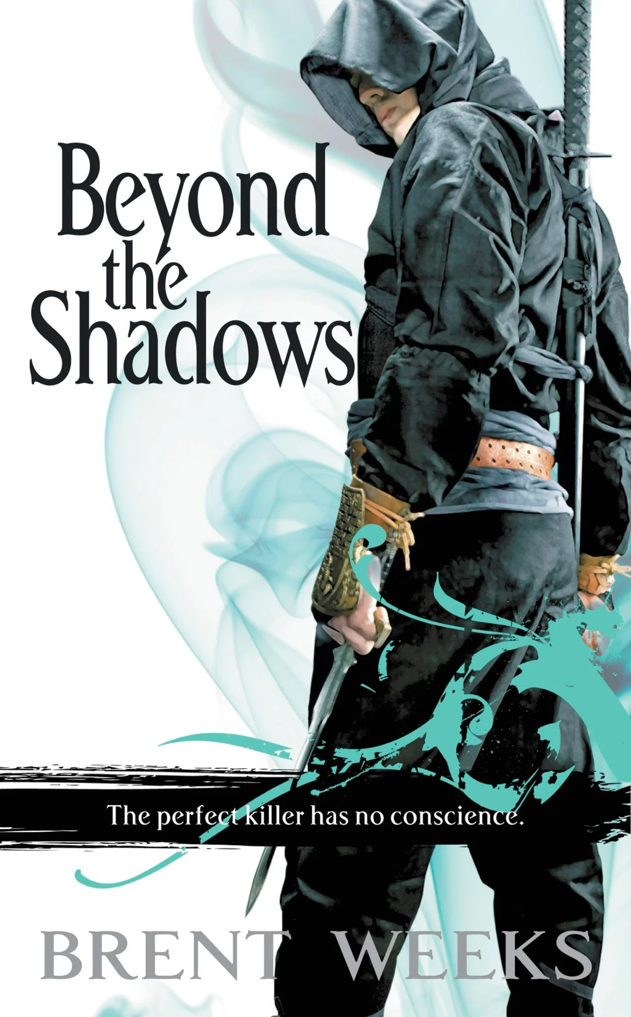 Beyond the Shadows #3