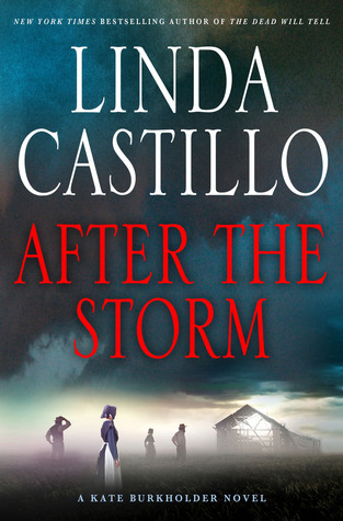 After the Storm (Kate Burkholder #7)