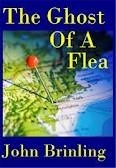 The Ghost of a Flea