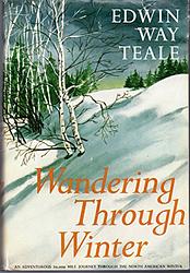 Wandering Through Winter