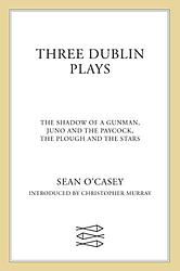 The Shadow Of A Gunman