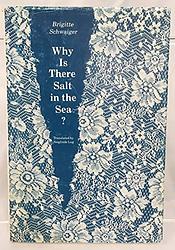 Why Is There Salt In The Sea?