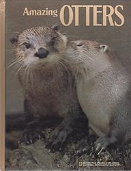 Amazing Otters