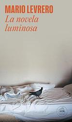 The Luminous Novel