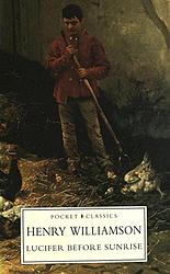 A Chronicle Of Ancient Sunlight