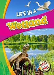 Life In A Wetland