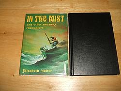 In The Mist, And Other Uncanny Encounters