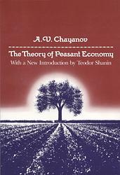 Theory Of Peasant Economy