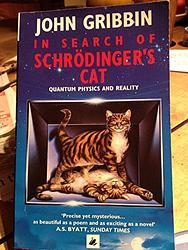In Search Of Schrodinger's Cat