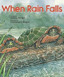 When Rain Falls